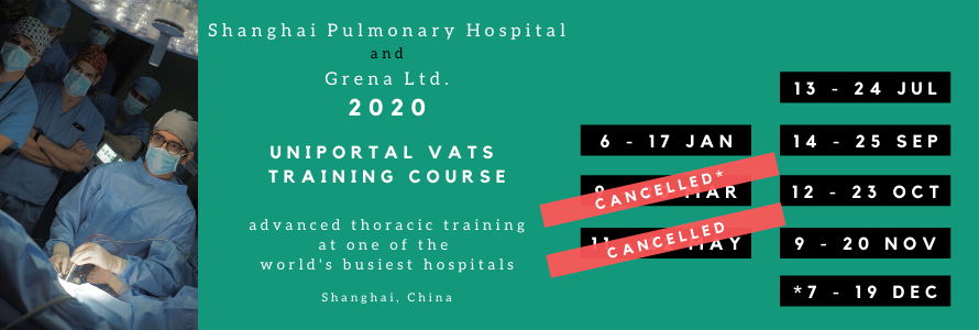 Uniportal VATS Training in Shanghai - 2020 schedule Grena